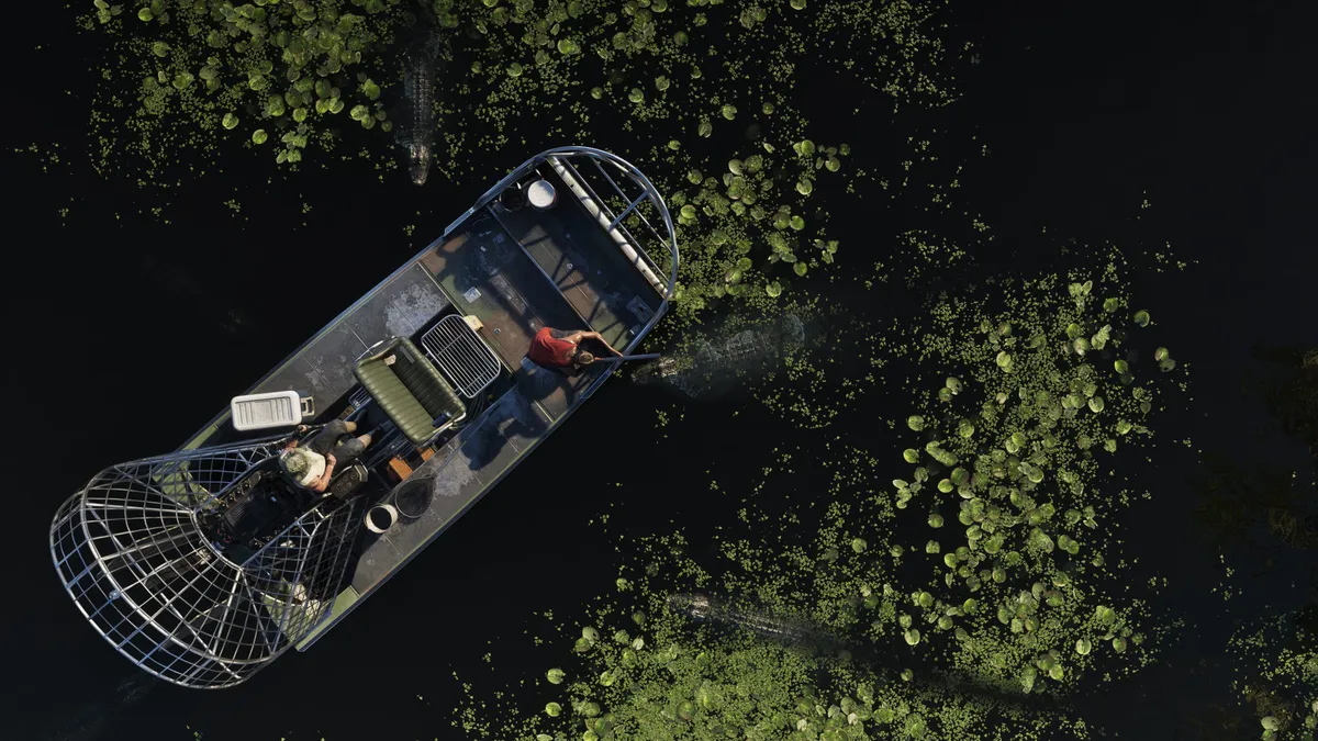 GTA 6 Grassrivers - technological landscape showcasing RAGE 9 engine