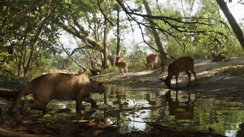 Mount Kalaga National Park, 4 of 5